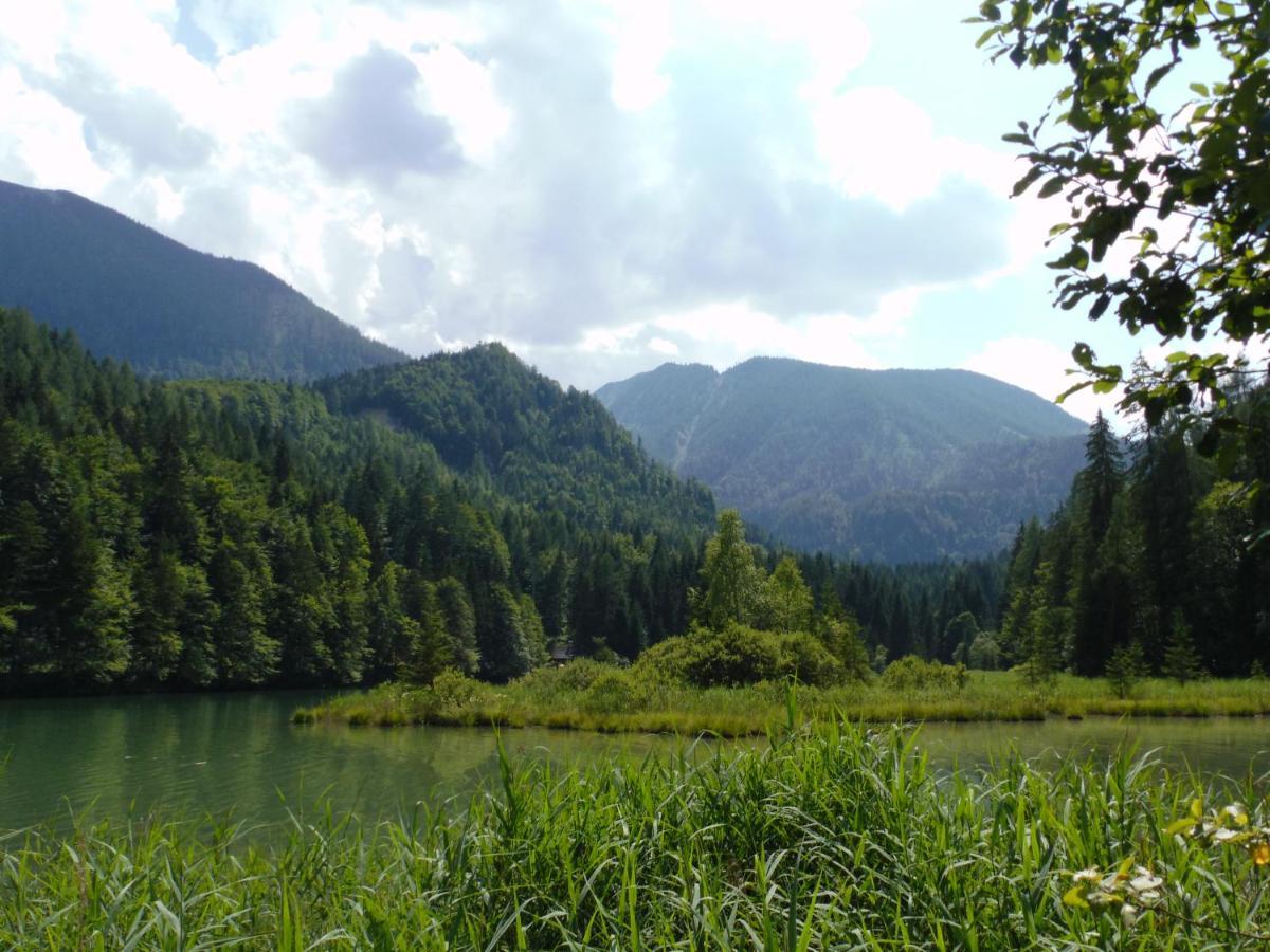 Hinterramsebn Διαμέρισμα Vorderstoder Εξωτερικό φωτογραφία