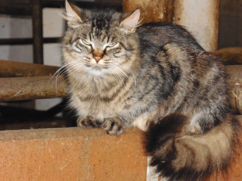 Hinterramsebn Διαμέρισμα Vorderstoder Εξωτερικό φωτογραφία
